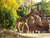Erlebnis-Zoo Hannover mit Hotel