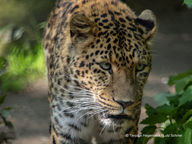 Tierpark und Tropen Aquarium Hagenbeck in Hamburg mit Hotel