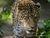 Tierpark und Tropen Aquarium Hagenbeck in Hamburg mit Hotel