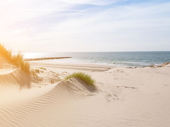 Nordsee-Auszeit mit Wellness mit Frühstück - 4 Tage