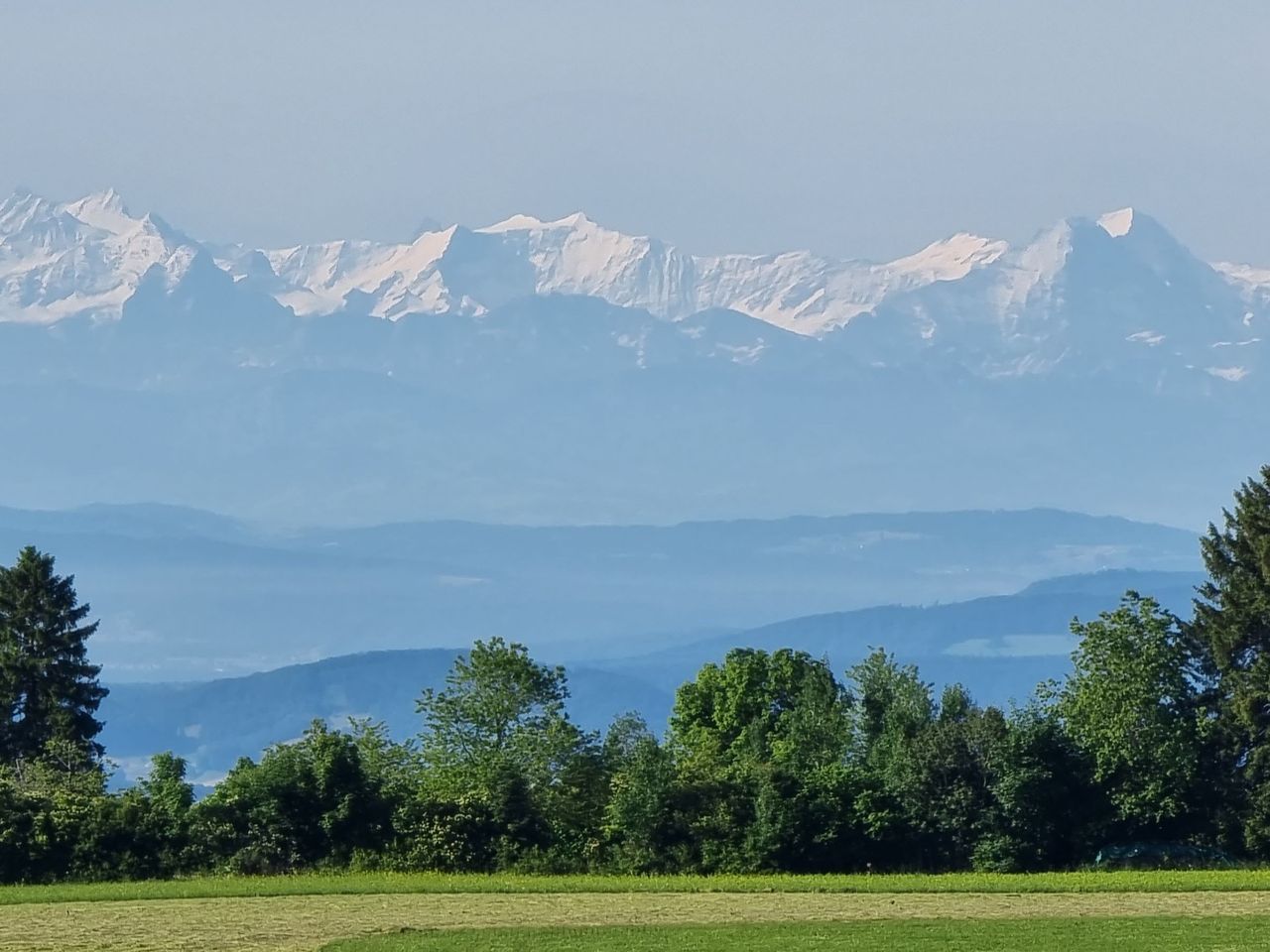 Geburtstagsüberraschung bei Heilklima im Schwarzwald