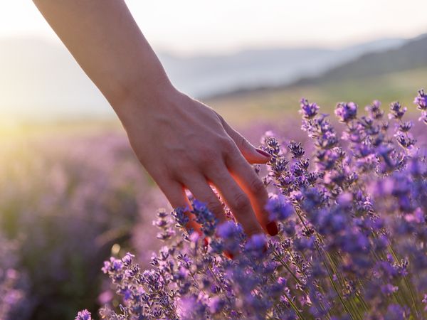 Kurzurlauber auf Entdeckungstour / 4 Tage in Vitzenburg, Sachsen-Anhalt inkl. Frühstück