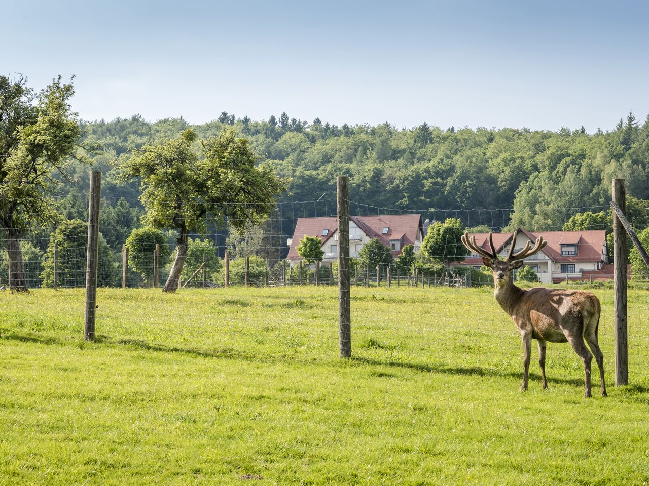 Best Friends im Spessart - 2 Nächte