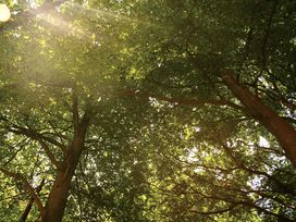 Veluwe Auszeit im Hotel De Paasberg – 3 Tage