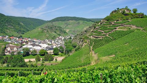 Westerwald