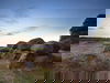 Rundum Sorglos Paket - 3 Tage All-Inclusive