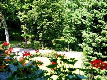 Mit dem Fahrrad den Nordschwarzwald erkunden - 3 Tage