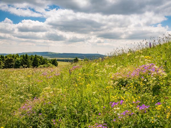 2 Tage Verwöhntage in Osthessen inkl. 1 Abendessen in Hünfeld,  inkl. Halbpension