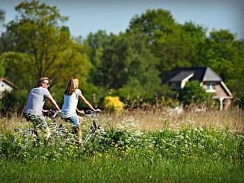 Die Ostfriesische Radtour - 5 Tage