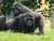 Erlebnis-Zoo Hannover mit Hotel
