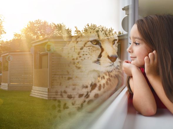 "Jungle Joe Adventure“ – Safari-Erlebnis mit HP