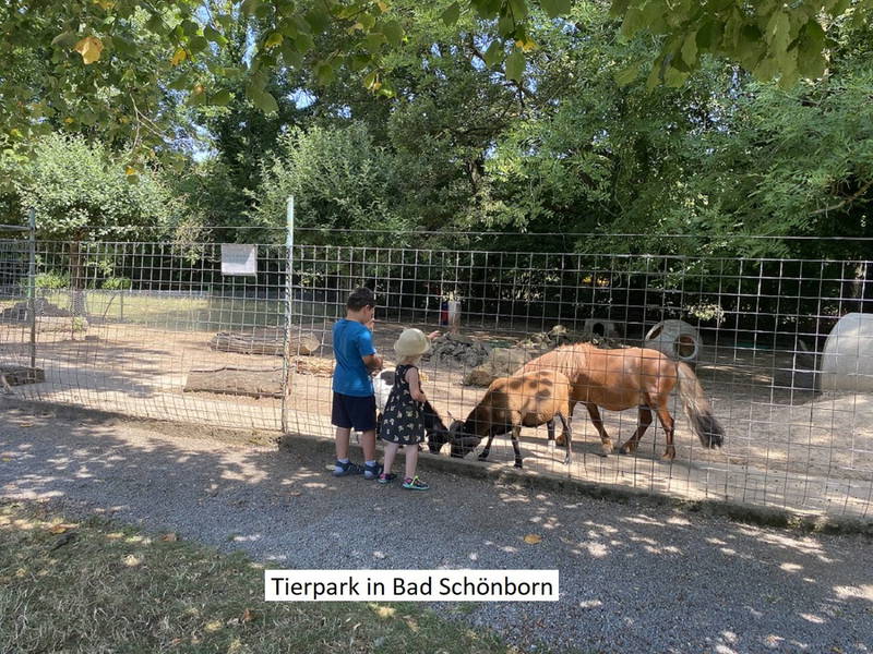 Städtetrip nach Heidelberg - 6 Tage