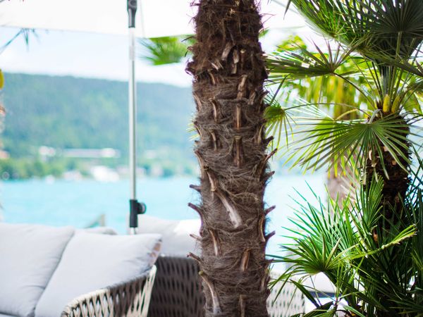 5 Tage Raus aus dem Alltag – Wow-Effekt am Wörthersee in Velden am Wörthersee, Kärnten inkl. Frühstück