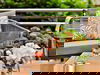2 Tage im Romantik Hotel Scheelehof mit Frühstück