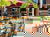 2 Tage im Hotel NH Vienna Airport Conference Center