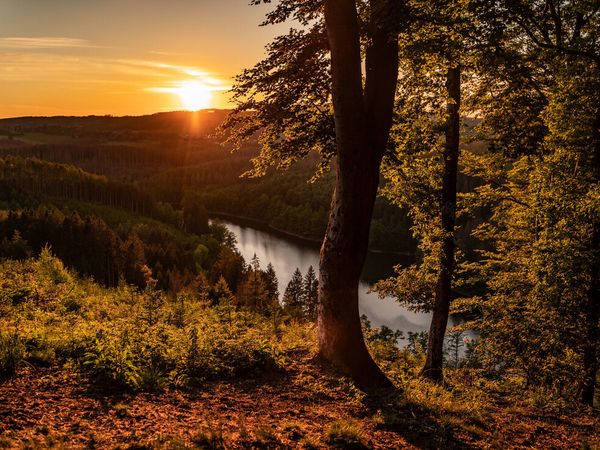 4 Tage Mountainbike/Fahrrad-Urlaub im Bergischen Land in Gummersbach, Nordrhein-Westfalen inkl. Frühstück