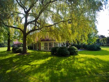 3 Tage Genussreise inmitten niederländischer Natur