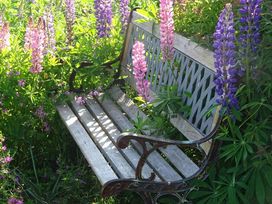 2 Tage in der jüngsten Stadt Rügens mit Frühstück