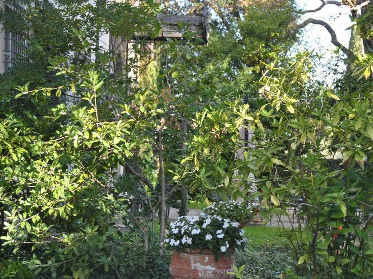 Italienische Eleganz - 4 Tage in Lucca mit Frühstück