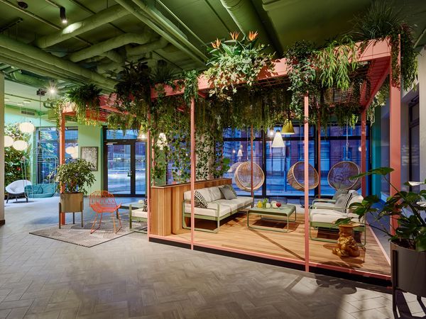 Willkommen im Zoo Leipzig inkl. 1x Pizza | 4 Tage, Sachsen inkl. Frühstück