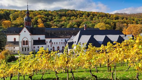 Kloster Eberbach