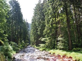 Fit und Sexy - 5 Tage im Erzgebirge