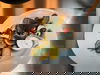 Stimmungsvolle Silvestergala - 5 Tage / 4 Nächte