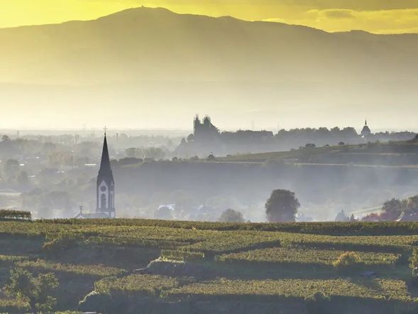 4 Tage Herbsturlaub am Kaiserstuhl erleben - Wein, Natur & Genuss