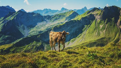 Allgäu