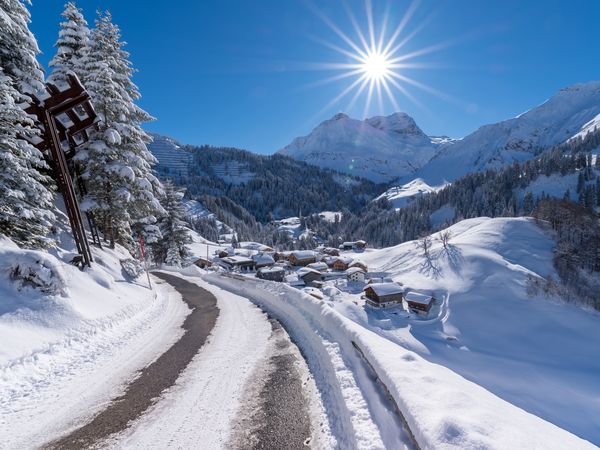 Erholungs- und Genießerzeit mit dem Vierbeiner in Tullnerbach, Niederösterreich Halbpension