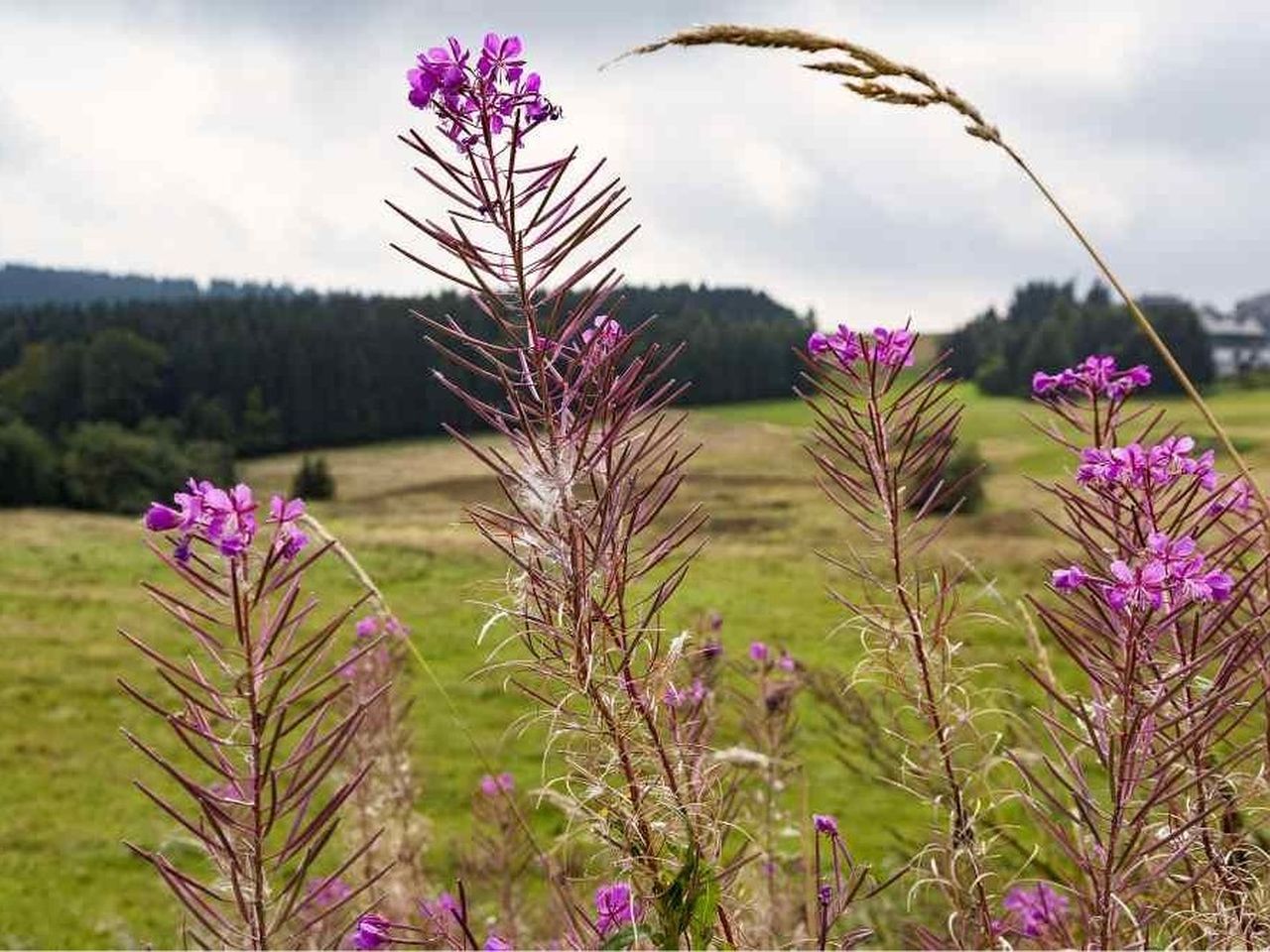 2 Tage Thüringer Wald mit Frühstück