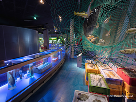 OZEANEUM Stralsund mit Ticket und Hotel