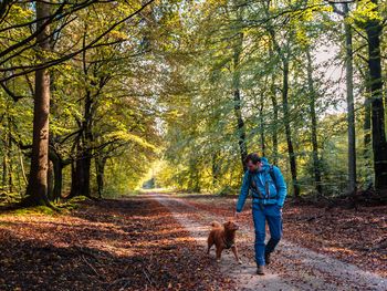 Tierisches Vergnügen - Bergferien mit dem Hund / 7 T.