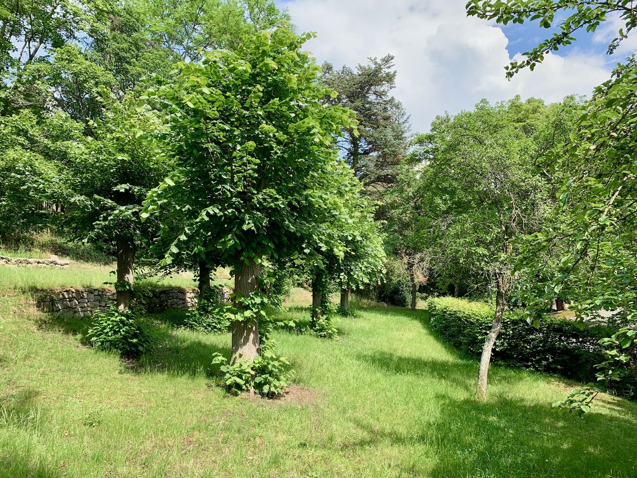 Willkommen in Thüringen - 4 Tage Natur & Kultur