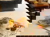 2 Tage im Grand Hotel & Centre Thermal mit Frühstück