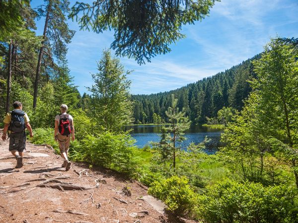 2 Tage #VisitBlackForest zwischen Straßburg und Karlsruhe in Rastatt, Baden-Württemberg inkl. Frühstück