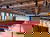 2 Tage im stylischen 25hours Hotel The Circle in Köln