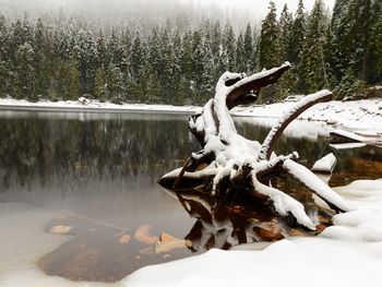 Faszination Thüringer Wald - 4 Tage inkl. Halbpension