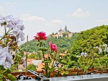 Kunterbunt in Wernigerode inkl. Brockenbahn & Schloss
