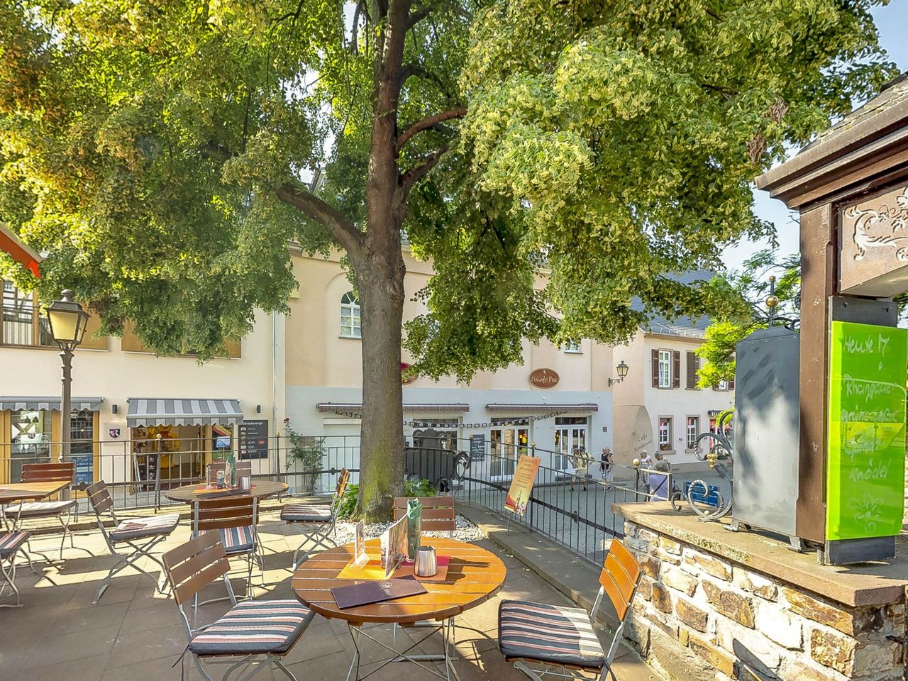 Rüdesheim vom Schiff erleben inkl. Weinprobe