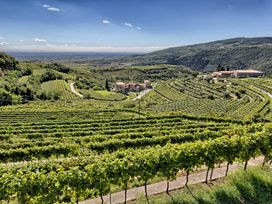 Valpolicella - Entdecken Sie die Provinz von Verona | 2 Nächte