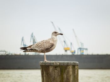 Auf nach Hamburg! - 2 Tage