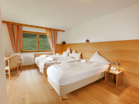DRB Dreibettzimmer Pinzgau ohne Balkon