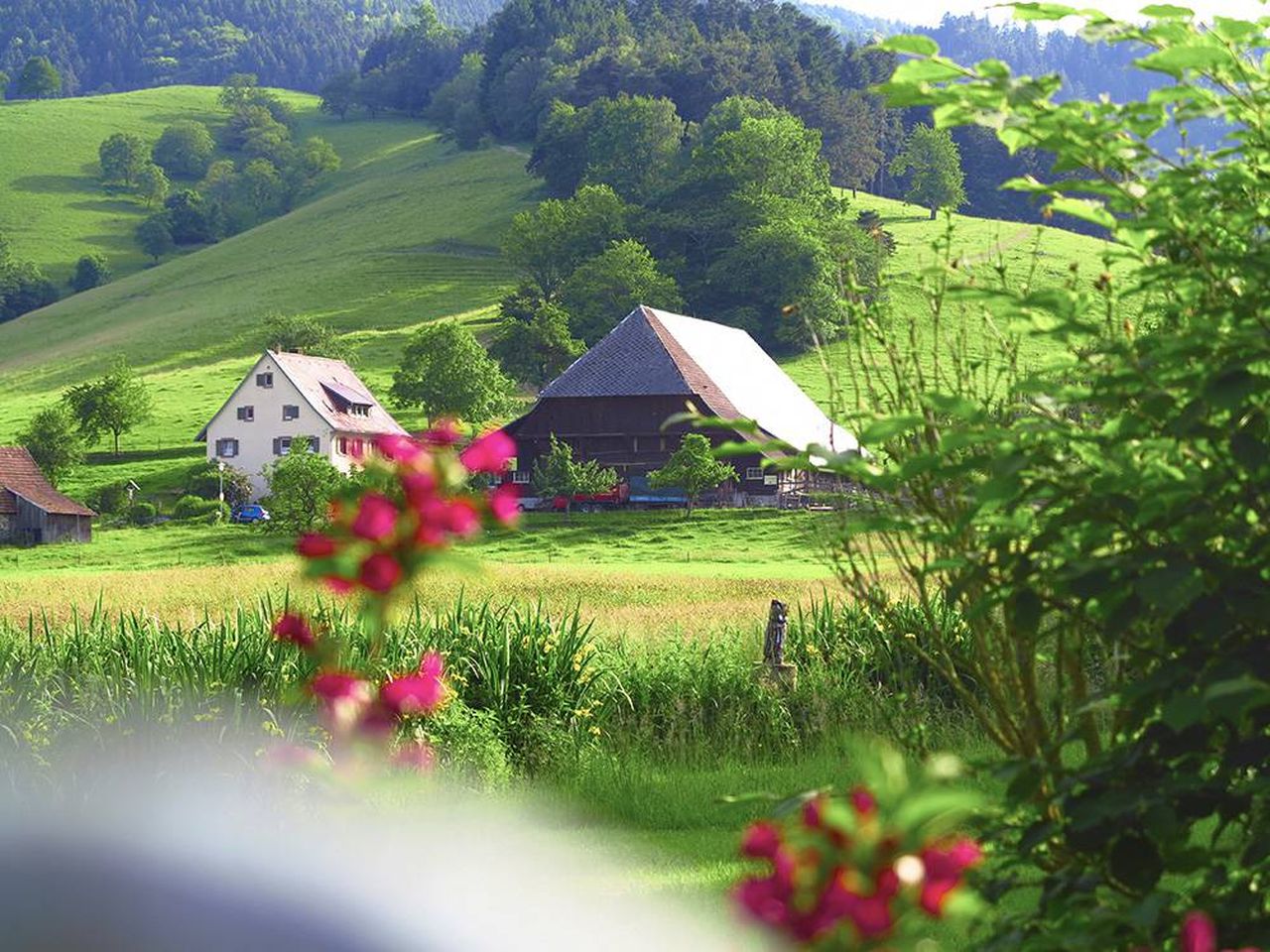 Einfach mal weg - 3 Tage im Hochschwarzwald