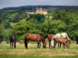 Tierpark Sababurg mit Hotel