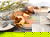 Ihre Alpin-Auszeit im Zillertal - 3 Tage
