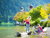 6 Tage im idyllischen Berchtesgadener Land