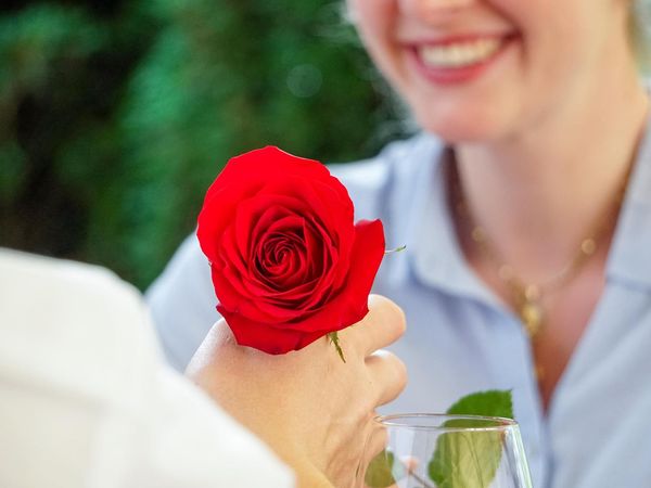 Romantik Pur im Stauferland-8 Tage inkl. Flasche Wein in Bad Boll Halbpension