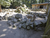 Zoo Schwerin mit Tageseintritt und Übernachtung