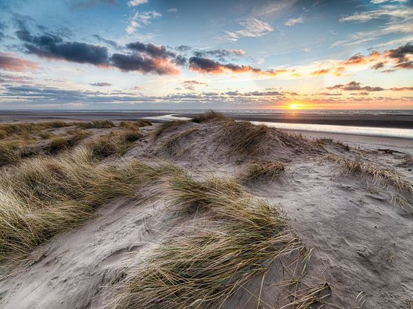 4 Tage Rügenkurztrip - Mee(h)r erleben in Buschvitz, Mecklenburg-Vorpommern inkl. Halbpension Plus